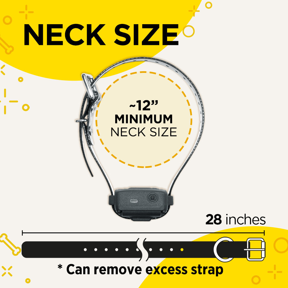 Dogtra iQ VIBE Collar - - by Dogtra