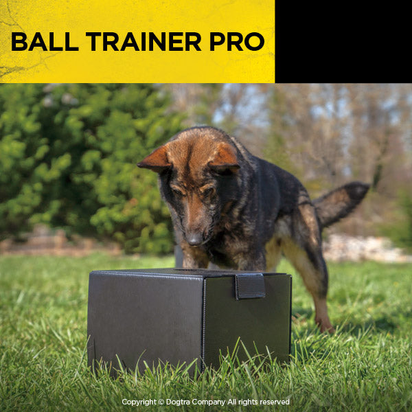 Dogtra Ball Trainer PRO Launcher - - by Dogtra