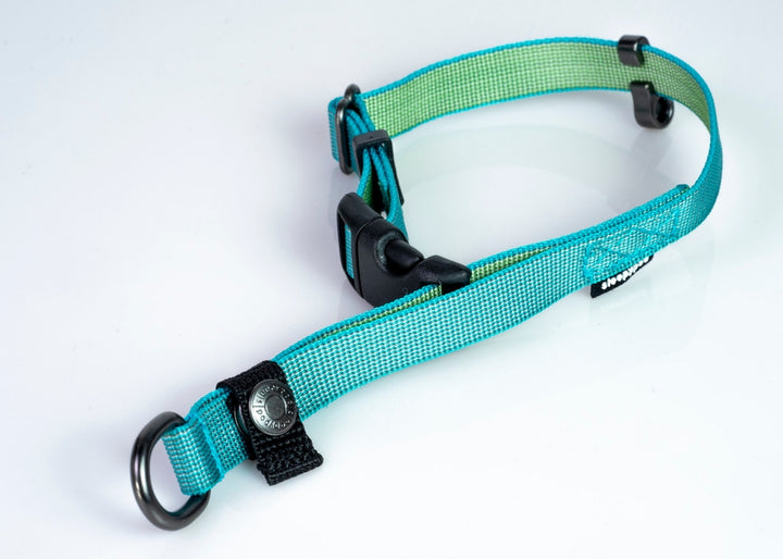 Sleepypod Locking Martingale Collar - Blue Lagoon Chromaweave - Collar by Sleepypod