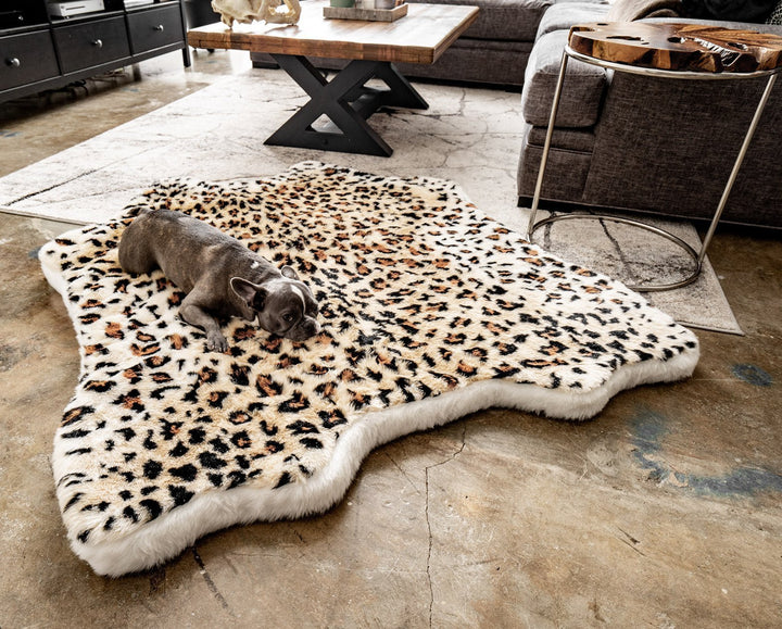 PupRug™ Animal Print Memory Foam Dog Bed - Cheetah Faux Print - Original (55" L x 50" W) - Today by Paw.com