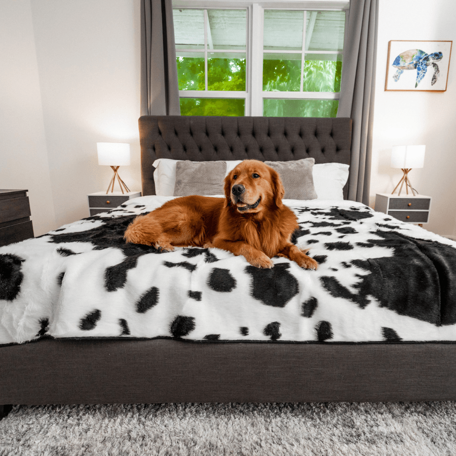 PupProtector™ Waterproof Throw Blanket - Black Faux Cowhide - Large (80"L x 62"W) - Dog Blanket by Paw.com