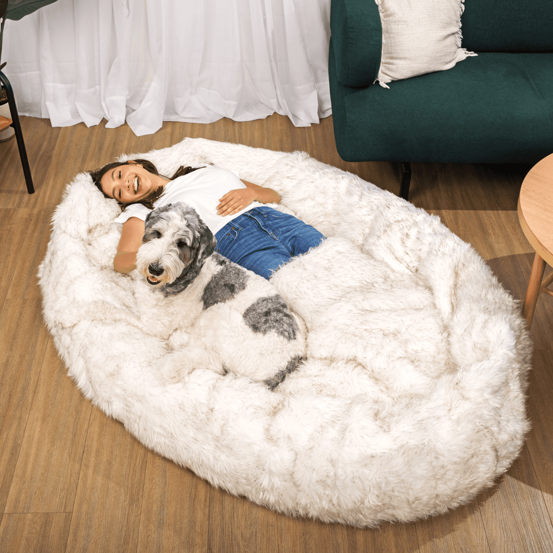 PupCloud™ Human-Size Faux Fur Memory Foam Dog Bed - White with Brown Accents - - by Paw.com