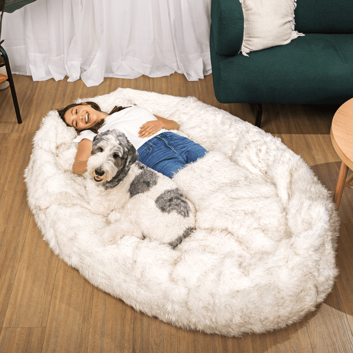 PupCloud™ Human-Size Faux Fur Memory Foam Dog Bed - White with Brown Accents - - by Paw.com