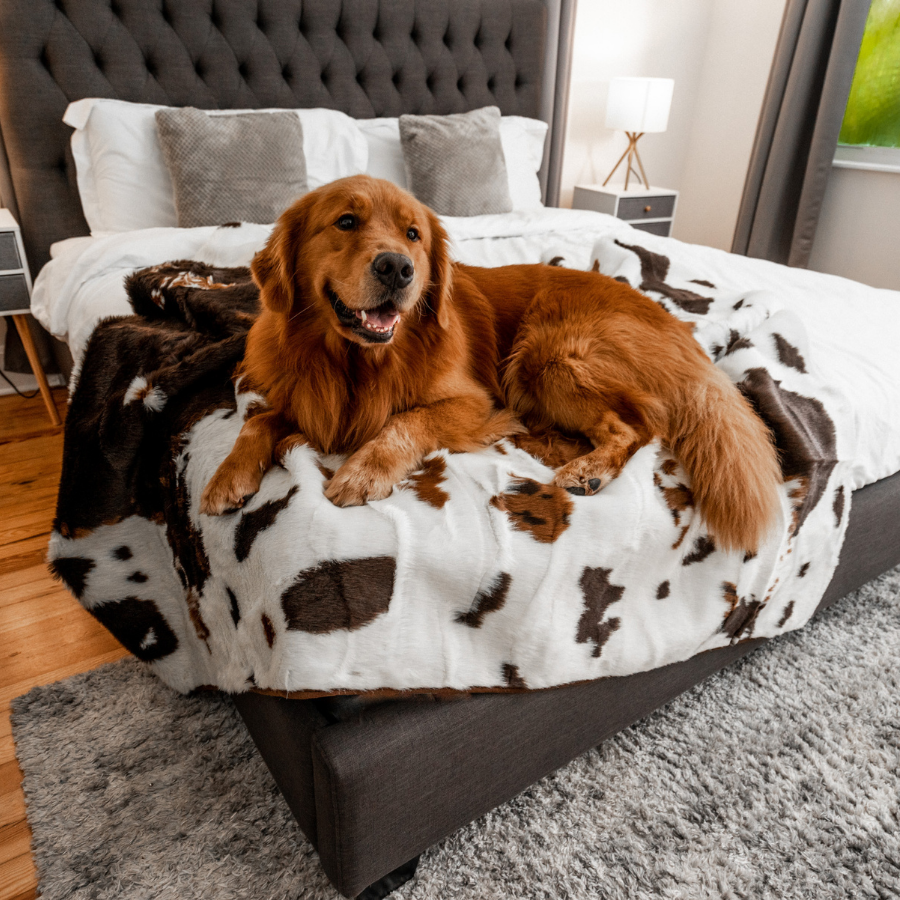 PupProtector™ Waterproof Throw Blanket - Brown Faux Cowhide - - Dog Blanket by Paw.com