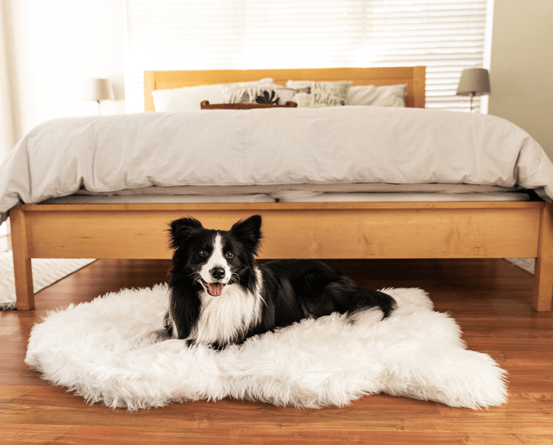 PupRug by Paw.com® Faux Fur Orthopedic Dog Bed - Curve Polar White - - Dog Beds by Paw.com