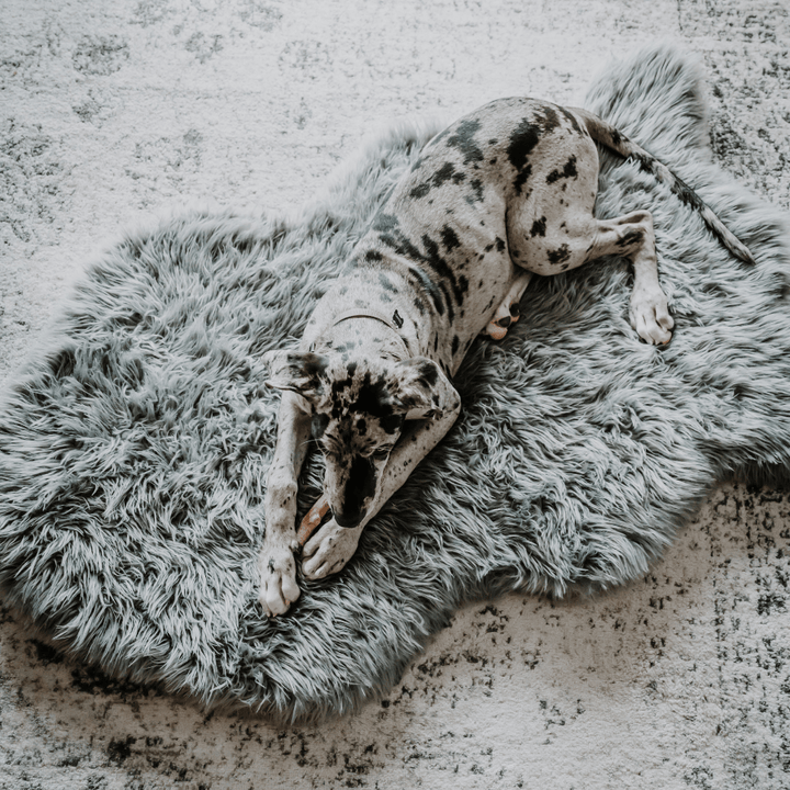 PupRug by Paw.com® Faux Fur Orthopedic Dog Bed - Curve Charcoal Grey - Giant (60" L x 35" W) - Dog Beds by Paw.com