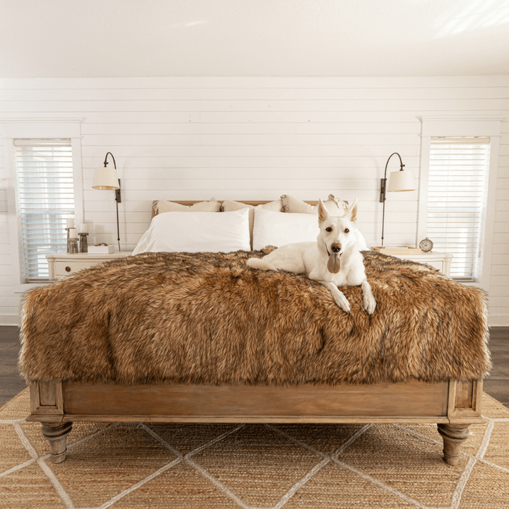 PupProtector™ Waterproof Throw Blanket - Sable Tan - Large (80"L X 62"W) - Dog Blanket by Paw.com