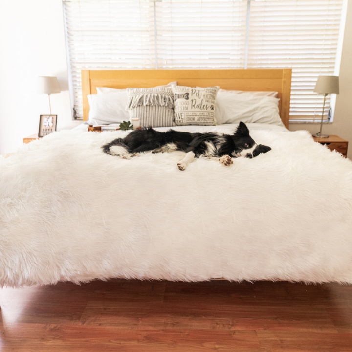 PupProtector™ Waterproof Throw Blanket - Polar White - Large (80"L x 62"W) - Dog Blanket by Paw.com