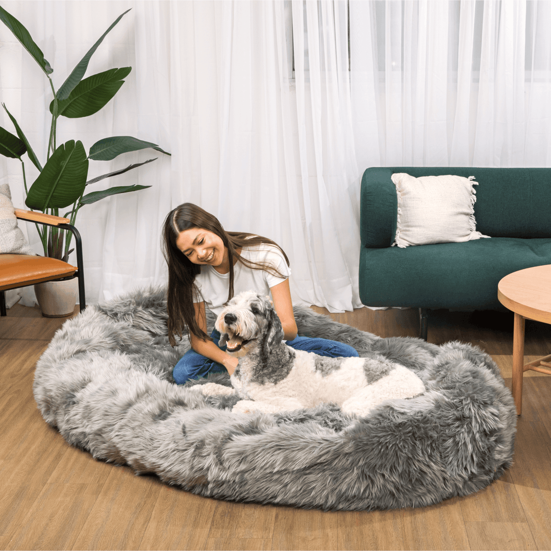PupCloud™ Human-Size Faux Fur Memory Foam Dog Bed - Charcoal Grey - - by Paw.com