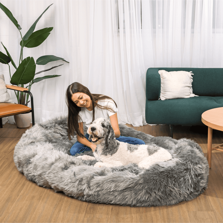 PupCloud™ Human-Size Faux Fur Memory Foam Dog Bed - Charcoal Grey - - by Paw.com