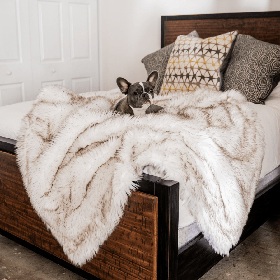 PupProtector™ Waterproof Throw Blanket - White with Brown Accents - Original (60"L x 50"W) - Dog Blanket by Paw.com