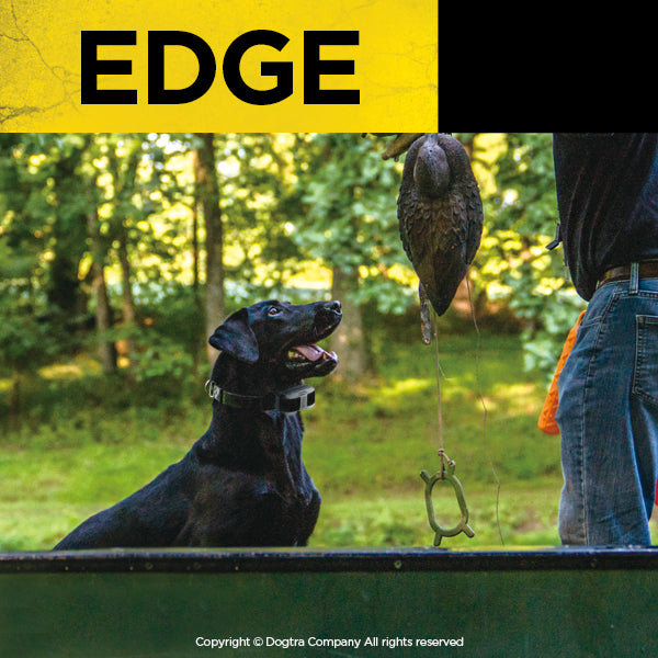 Dogtra EDGE E-Collar - - by Dogtra