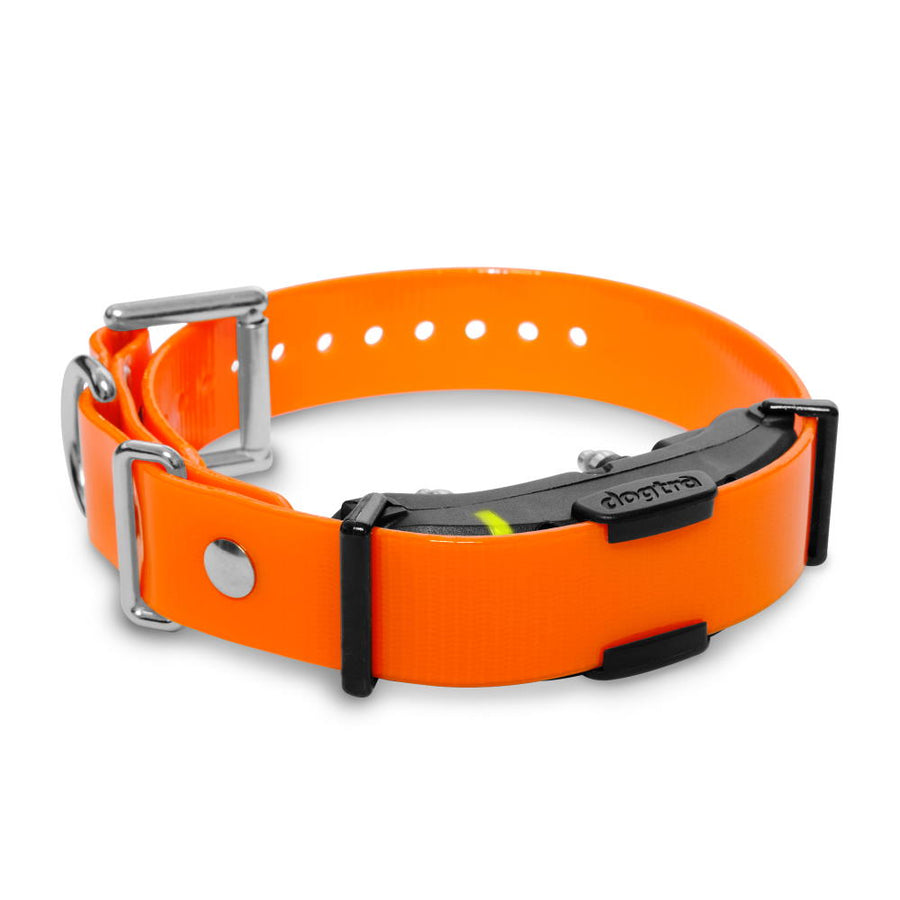 Dogtra ARC Additional Receiver - - by Dogtra