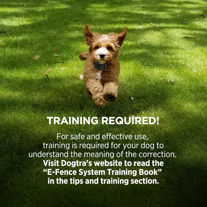 Dogtra E-Fence 3500 - - by Dogtra