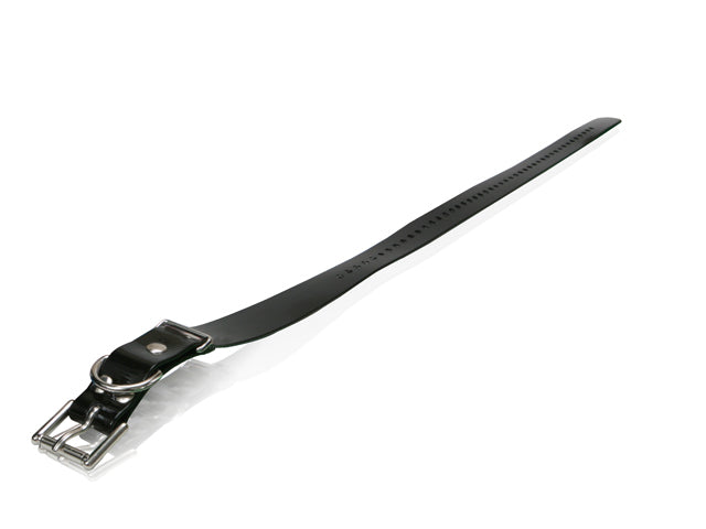 Dogtra Strap 1"x30" - Black - by Dogtra