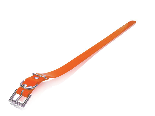 Dogtra Strap 1"x30" - Orange - by Dogtra