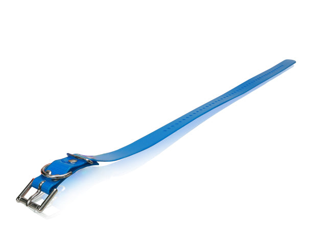 Dogtra Strap 1"x30" - Blue - by Dogtra