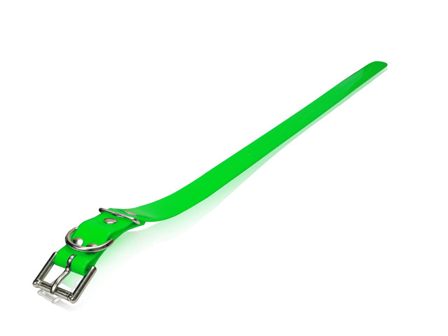 Dogtra Strap 1"x30" - Green - by Dogtra