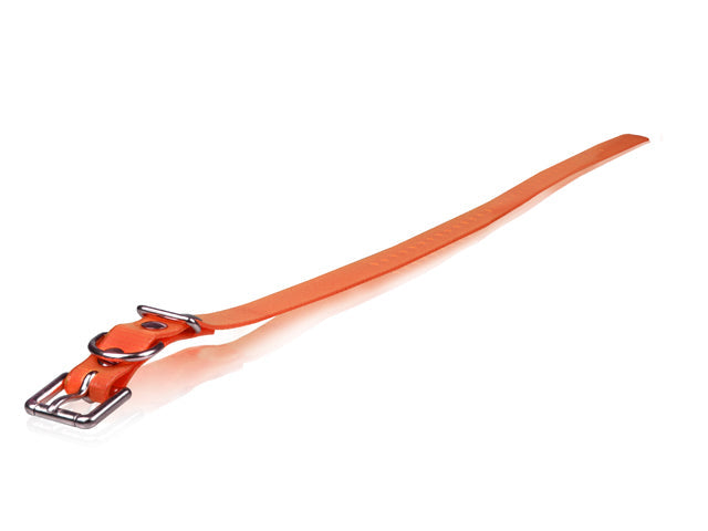Dogtra Strap 3/4"x28" - Orange - by Dogtra