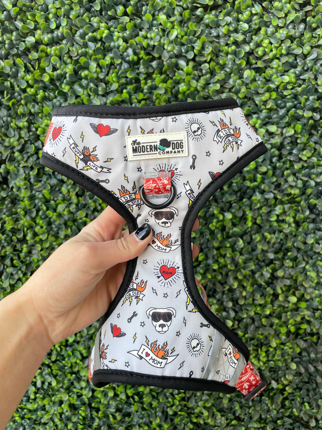 The Modern Dog Company - Bad to the Bone Harness - - by The Modern Dog Company Store