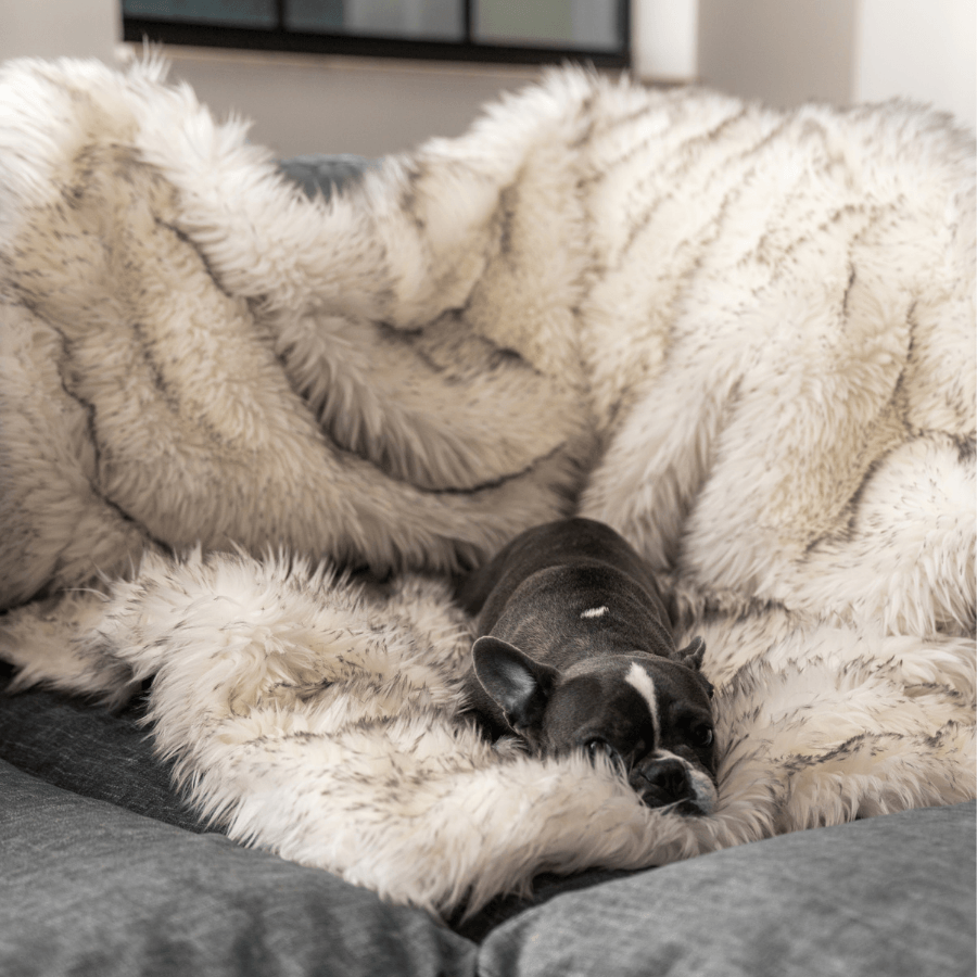 PupProtector™ Waterproof Throw Blanket - White with Brown Accents - - Dog Blanket by Paw.com