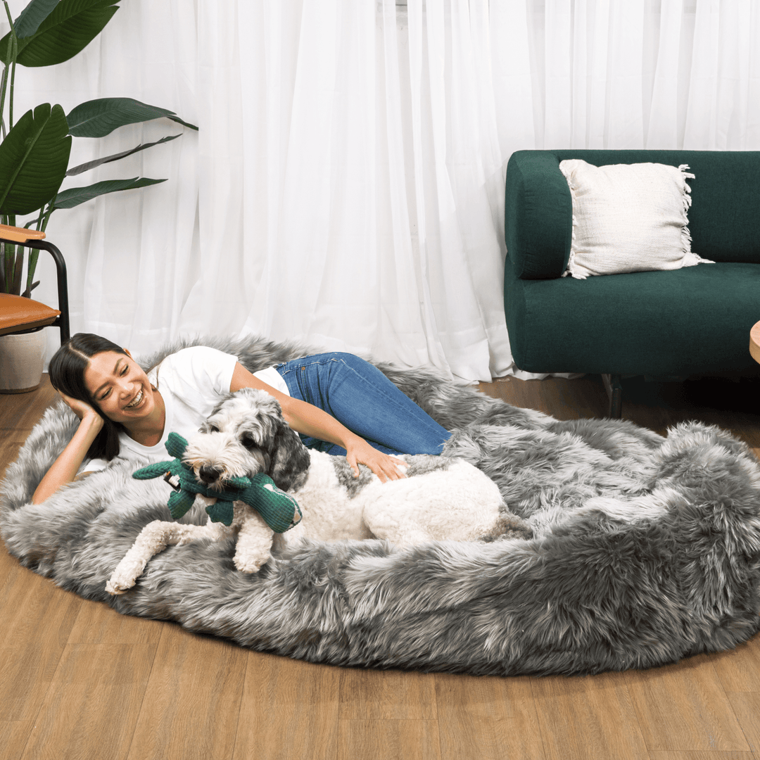 PupCloud™ Human-Size Faux Fur Memory Foam Dog Bed - Charcoal Grey - - by Paw.com