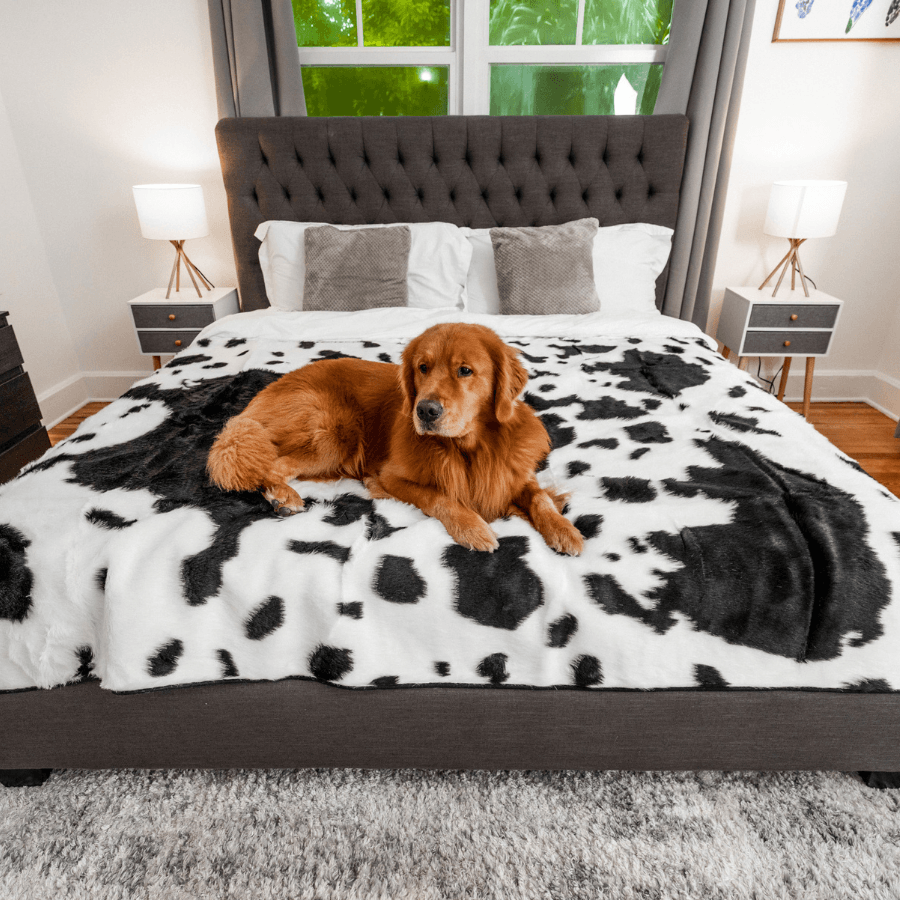 PupProtector™ Waterproof Throw Blanket - Black Faux Cowhide - - Dog Blanket by Paw.com