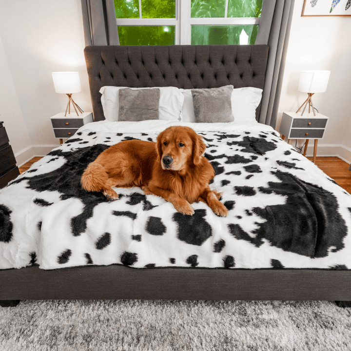 PupProtector™ Waterproof Throw Blanket - Black Faux Cowhide - - Dog Blanket by Paw.com