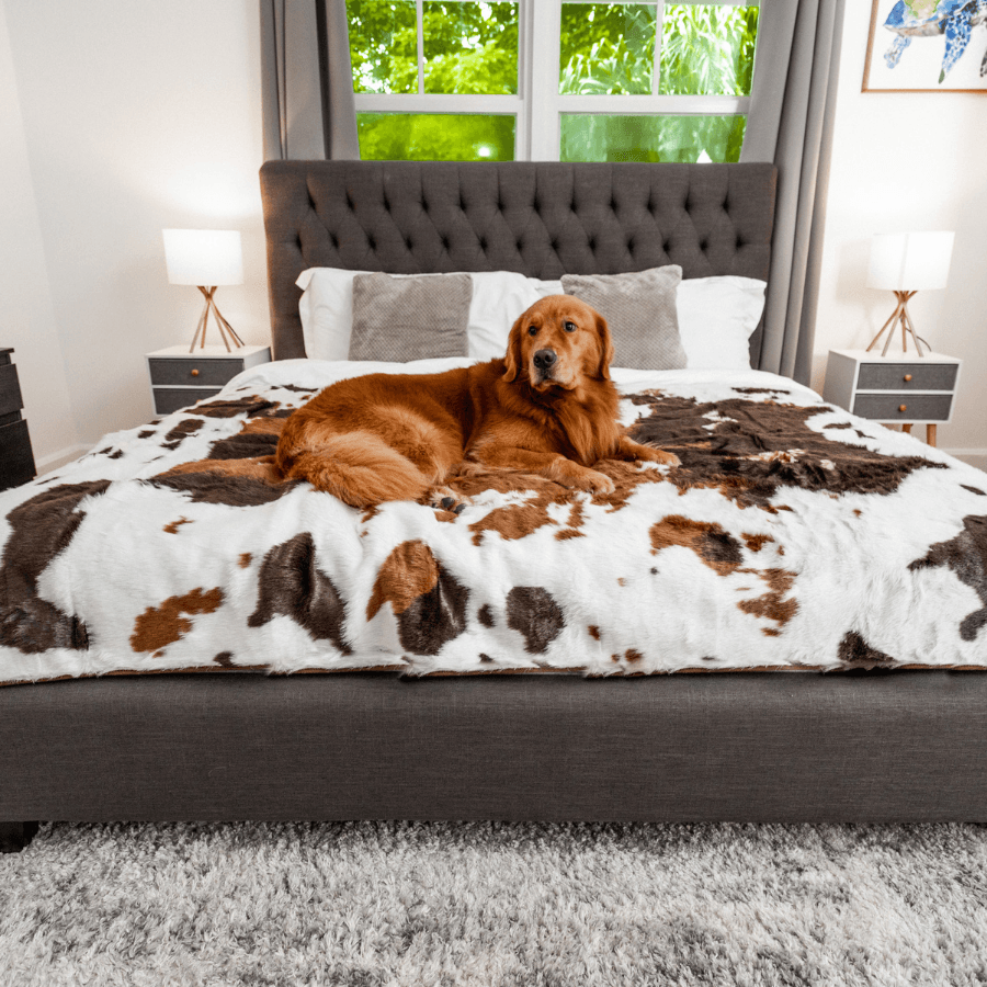 PupProtector™ Waterproof Throw Blanket - Brown Faux Cowhide - Large (80"L x 62"W) - Dog Blanket by Paw.com