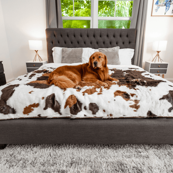 PupProtector™ Waterproof Throw Blanket - Brown Faux Cowhide - Large (80"L x 62"W) - Dog Blanket by Paw.com