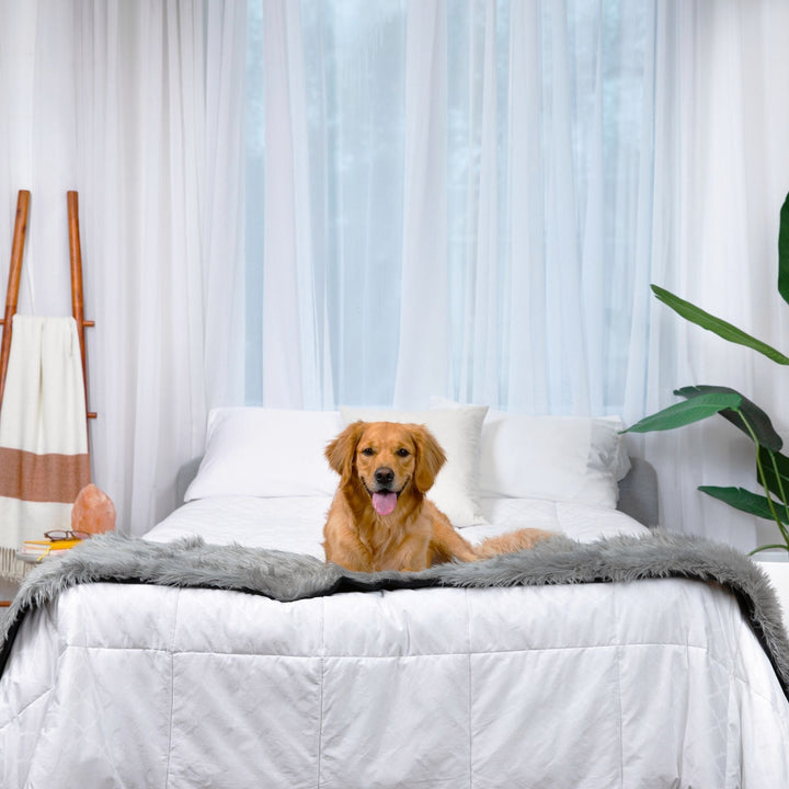 PupProtector™ Waterproof Bed Runner - Charcoal Grey - - Dog Blanket by Paw.com