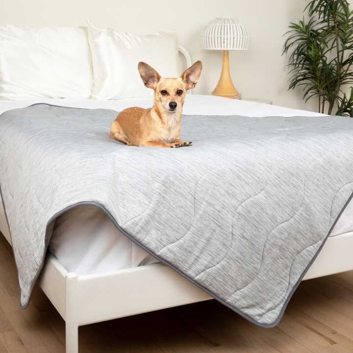 PupChill™ Cooling Waterproof Blanket - Arctic Grey - - by Paw.com