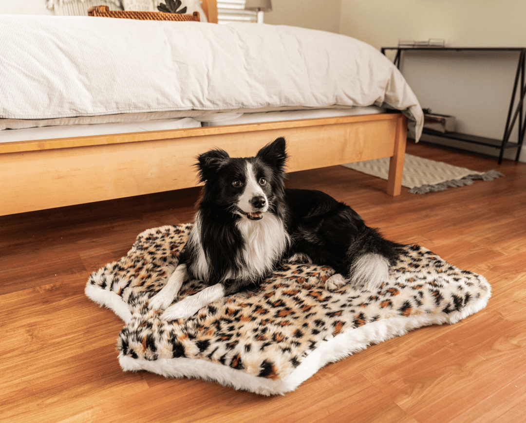 PupRug™ Animal Print Memory Foam Dog Bed - Cheetah Faux Print - - Today by Paw.com