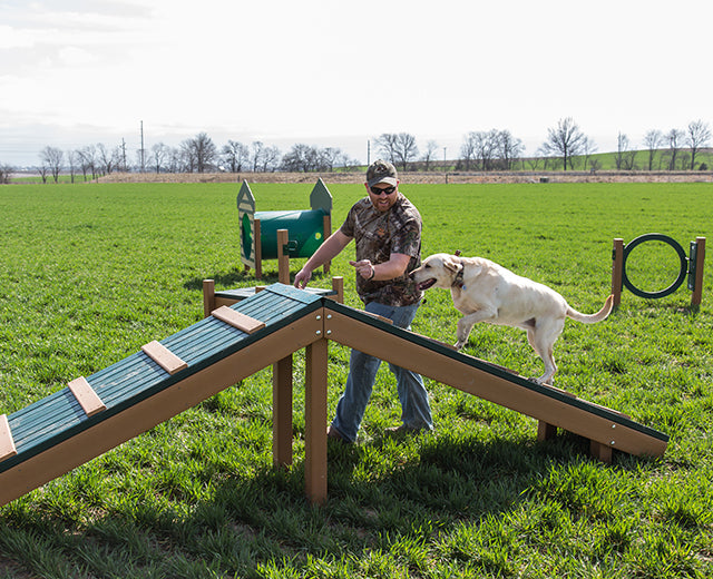 BarkPark Recycled Hilltop Challenge - - by BarkPark