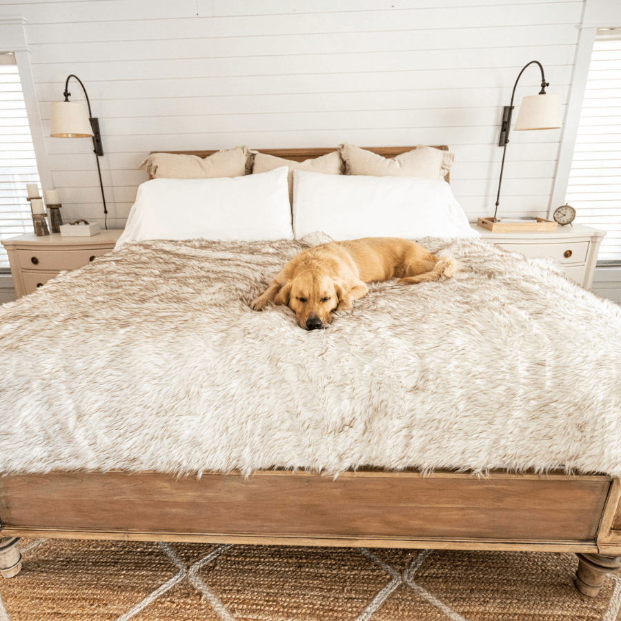 PupProtector™ Waterproof Throw Blanket - White with Brown Accents - Large (80"L X 62"W) - Dog Blanket by Paw.com
