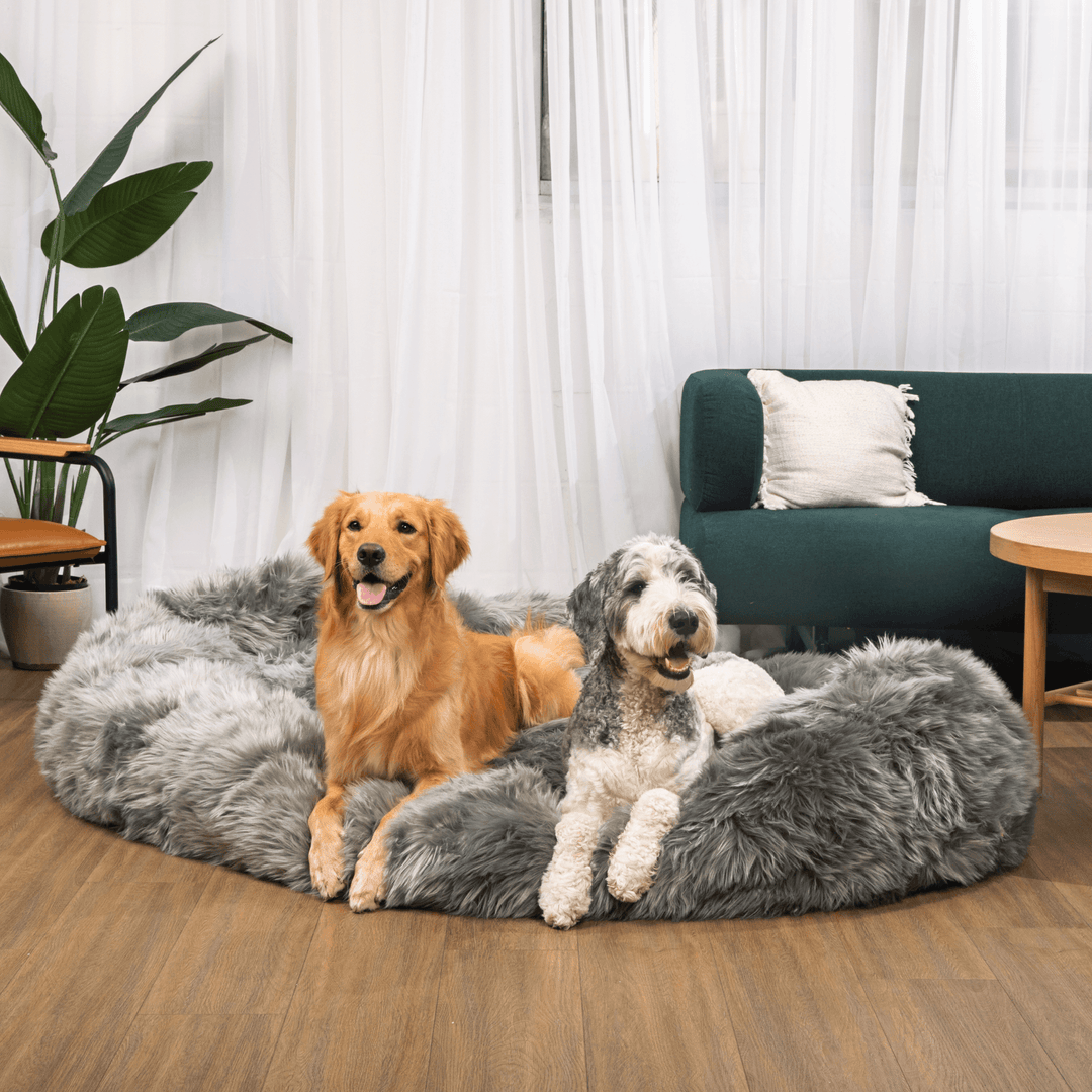 PupCloud™ Human-Size Faux Fur Memory Foam Dog Bed - Charcoal Grey - - by Paw.com