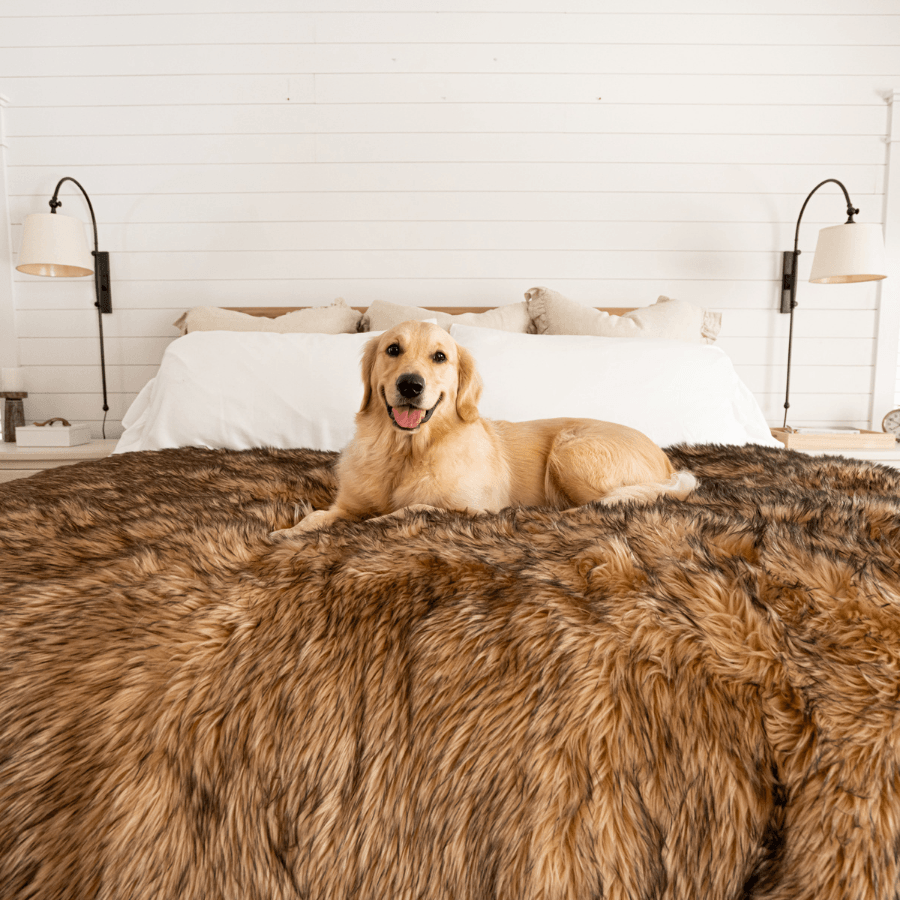 PupProtector™ Waterproof Throw Blanket - Sable Tan - - Dog Blanket by Paw.com