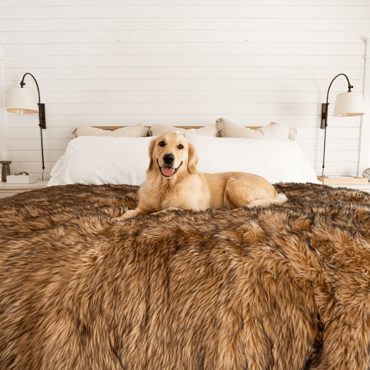 PupProtector™ Waterproof Throw Blanket - Sable Tan - - Dog Blanket by Paw.com