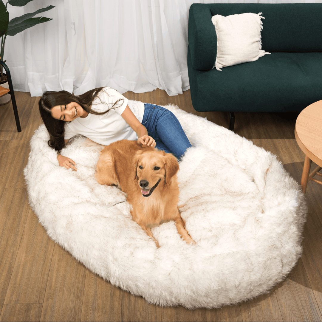 PupCloud™ Human-Size Faux Fur Memory Foam Dog Bed - White with Brown Accents - - by Paw.com