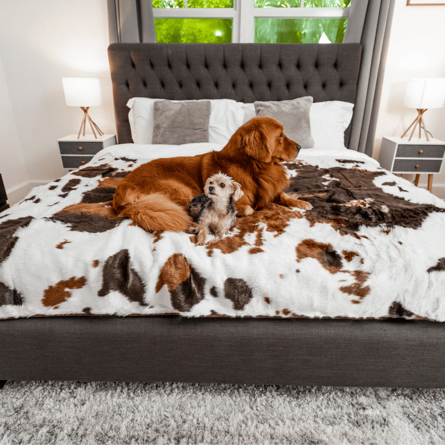 PupProtector™ Waterproof Throw Blanket - Brown Faux Cowhide - - Dog Blanket by Paw.com