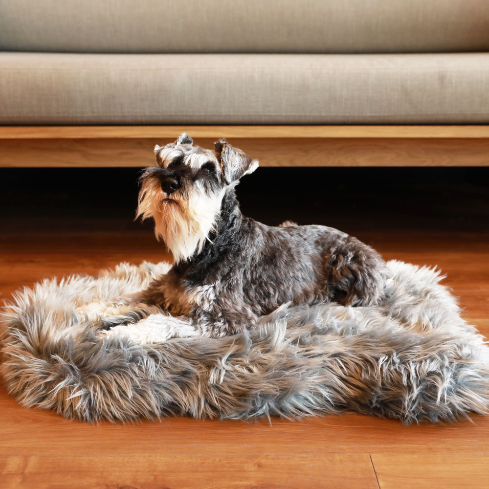 PupRug by Paw.com® Faux Fur Orthopedic Dog Bed - Curve Charcoal Grey - Small (30" L x 20" W) - Dog Beds by Paw.com
