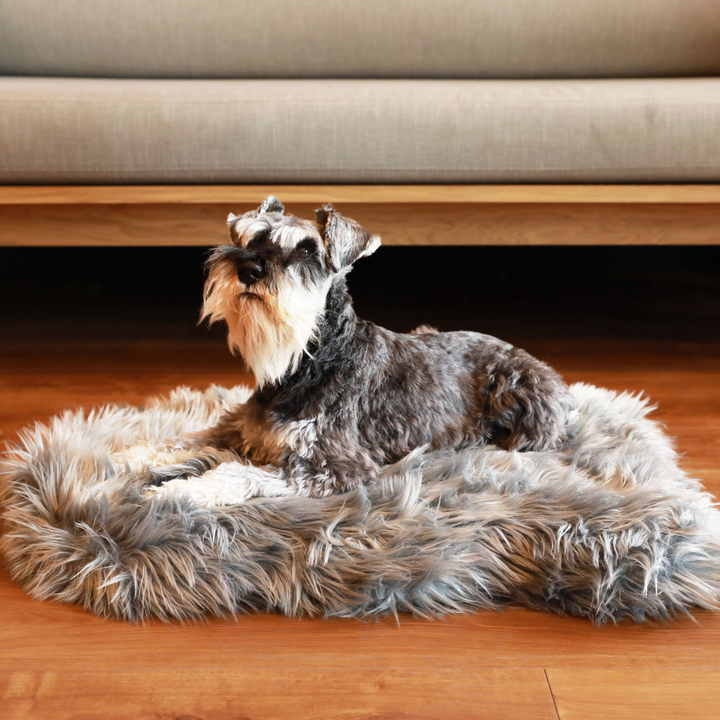 PupRug by Paw.com® Faux Fur Orthopedic Dog Bed - Curve Charcoal Grey - Small (30" L x 20" W) - Dog Beds by Paw.com