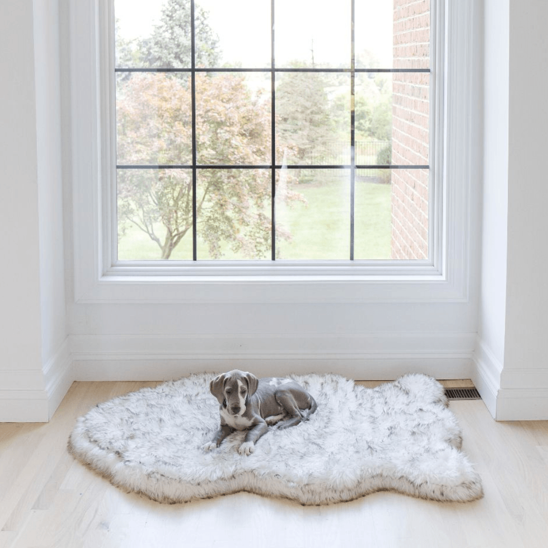PupRug by Paw.com® Faux Fur Orthopedic Dog Bed - Curve White with Brown Accents - Giant (60" L x 35" W) - Dog Beds by Paw.com