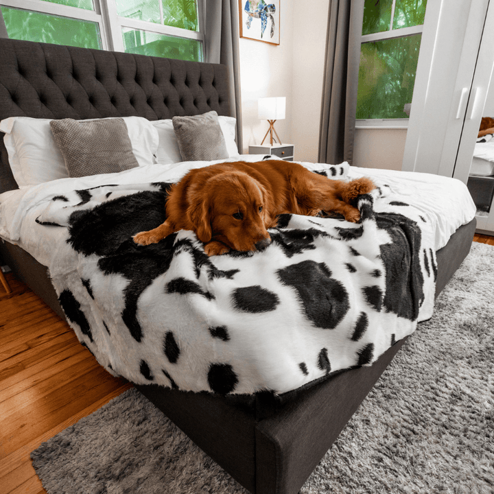PupProtector™ Waterproof Throw Blanket - Black Faux Cowhide - - Dog Blanket by Paw.com