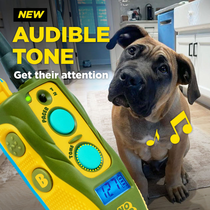 Dogtra Tom Davis 280C 2.0 Additional Receiver - - by Dogtra