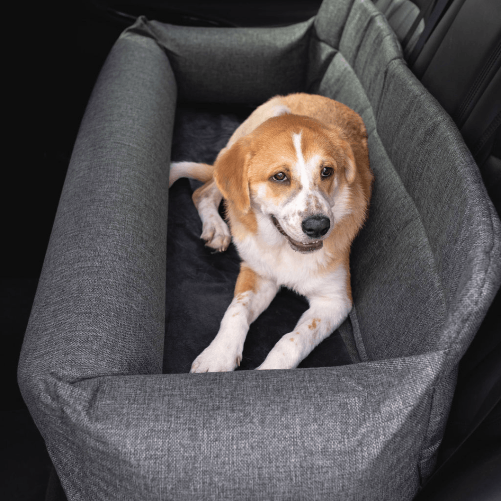 PupProtector™ Memory Foam Dog Car Bed - Full Back Seat (48" x 18" x 13") - Travel by Paw.com