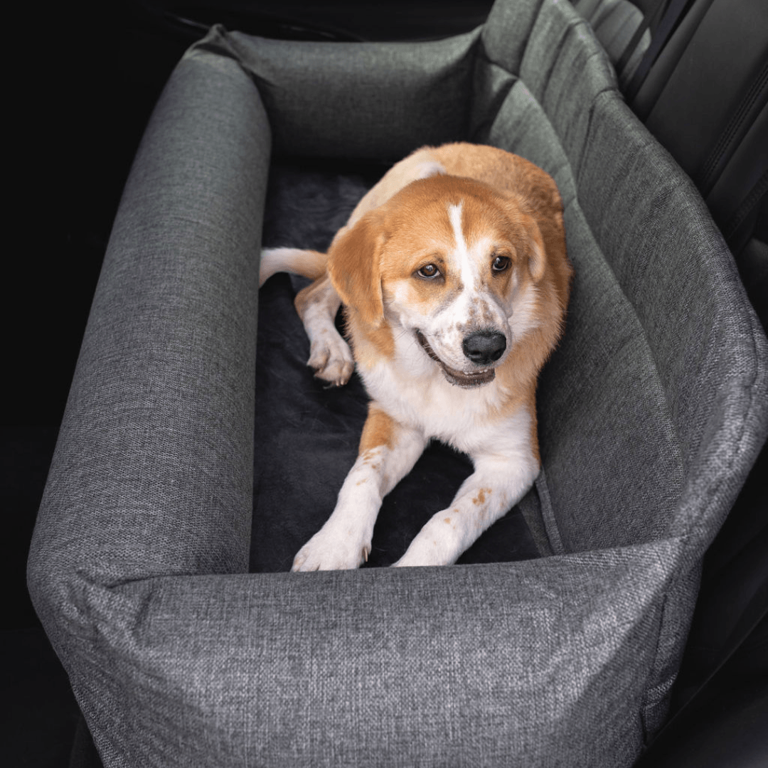 PupProtector™ Memory Foam Dog Car Bed - Full Back Seat (48" x 18" x 13") - Travel by Paw.com