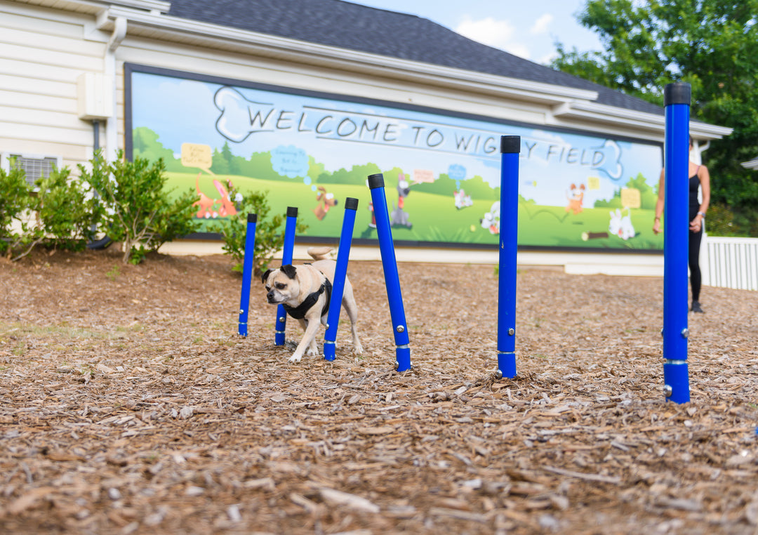 BarkPark Weave Posts - - by BarkPark