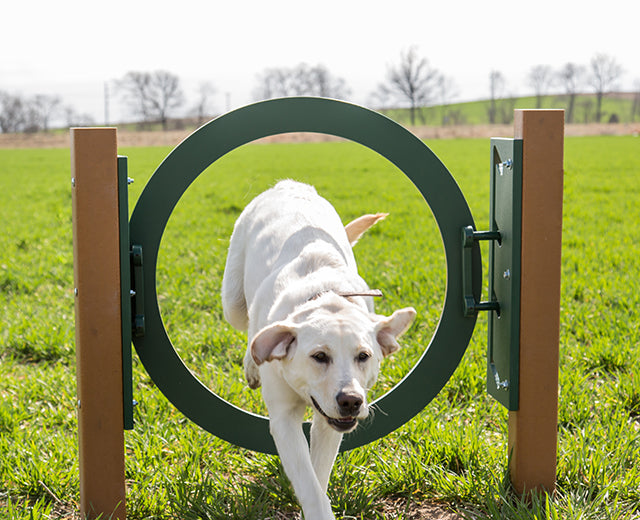 BarkPark Recycled Adjustable Ring Jump - - by BarkPark