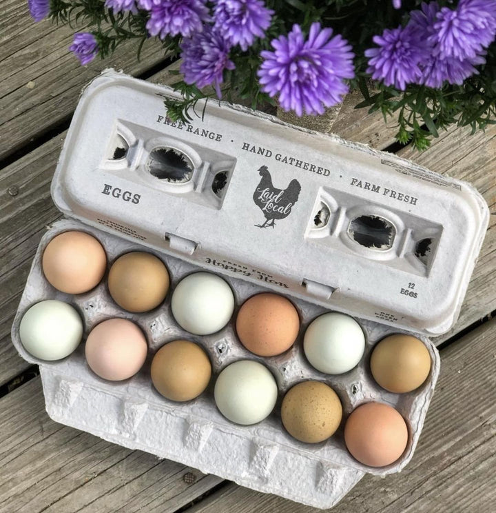 Henlay Laid Local Egg Cartons- Adorable Printed Vintage Design- 25, 90, or 250 - 25 - Egg Cartons by My Pet Chicken